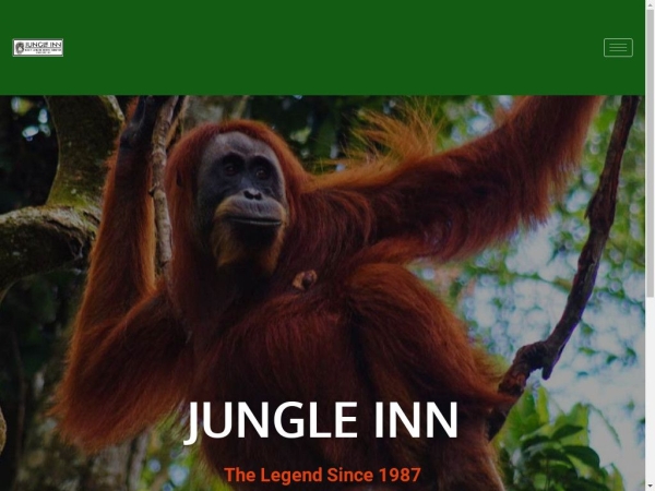 jungleinn-bukitlawang.com